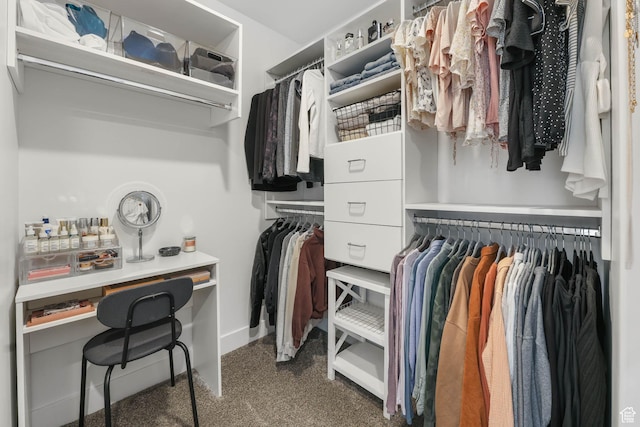 8151 St Cecilia St S, Eagle Mountain, UT 84005 - view of spacious closet