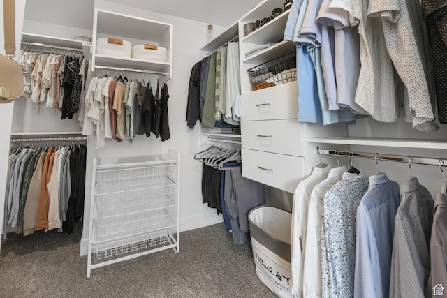 8151 St Cecilia St S, Eagle Mountain, UT 84005 - spacious closet with carpet floors