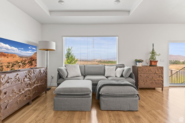 1268 S Raintree Ln, Santaquin, UT 84655 - living room featuring a tray ceiling, wood finished floors, and healthy amount of natural light