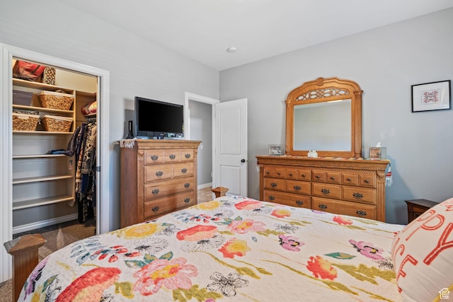6613 W 200 N, Ogden, UT 84404 - bedroom with a spacious closet, carpet flooring, and a closet
