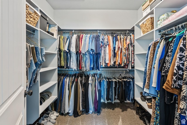 6613 W 200 N, Ogden, UT 84404 - spacious closet with carpet