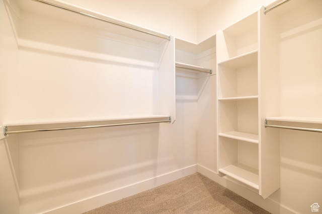 361 E Ventura Blvd, Tooele, UT 84074 - walk in closet featuring carpet floors