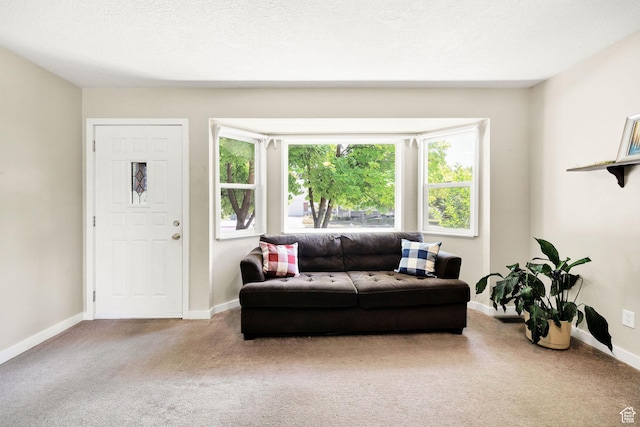345 E 2475 N, North Logan, UT 84341 - living area featuring carpet flooring