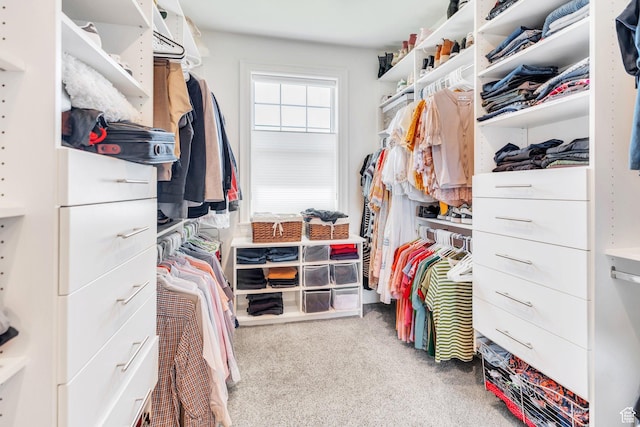 953 E 1000 N, American Fork, UT 84003 - spacious closet featuring carpet
