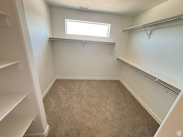 4683 S Roger View Ln W Unit 7, West Valley City, UT 84120 - spacious closet with carpet flooring