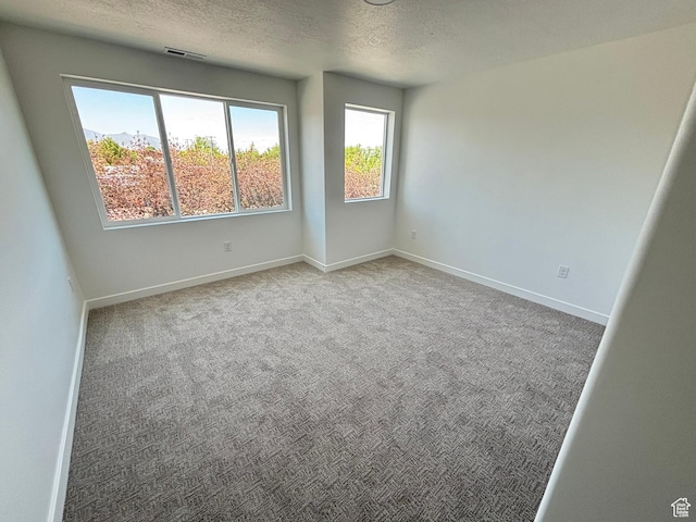 4683 S Roger View Ln W Unit 7, West Valley City, UT 84120 - empty room with a textured ceiling and carpet floors