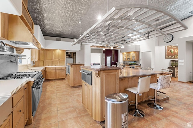 143 E 200 S, St George, UT 84770 - kitchen with high end stove, a large island with sink, a warming drawer, a breakfast bar area, and premium range hood