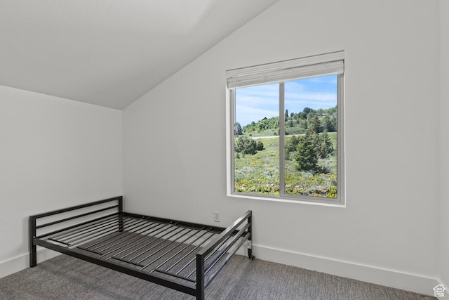 1205 S Lakeview, Garden City, UT 84028 - photo 23