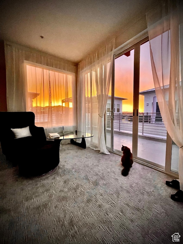 4678 W Vermillion Dr S, South Jordan, UT 84009 - sitting room with carpet floors and healthy amount of natural light