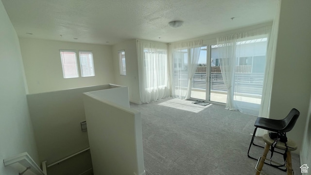 4678 W Vermillion Dr S, South Jordan, UT 84009 - carpeted spare room featuring a textured ceiling