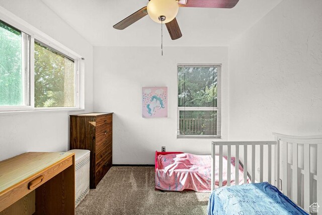 357 W 1100 N Unit 7, Logan, UT 84341 - carpeted bedroom with ceiling fan