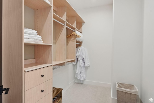 1427 Eagle Way, Park City, UT 84060 - spacious closet with carpet floors