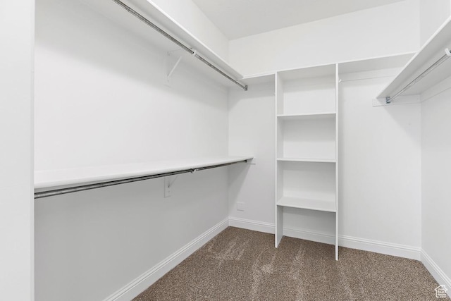 181 N 1200 W Unit 103, Orem, UT 84057 - walk in closet with dark carpet