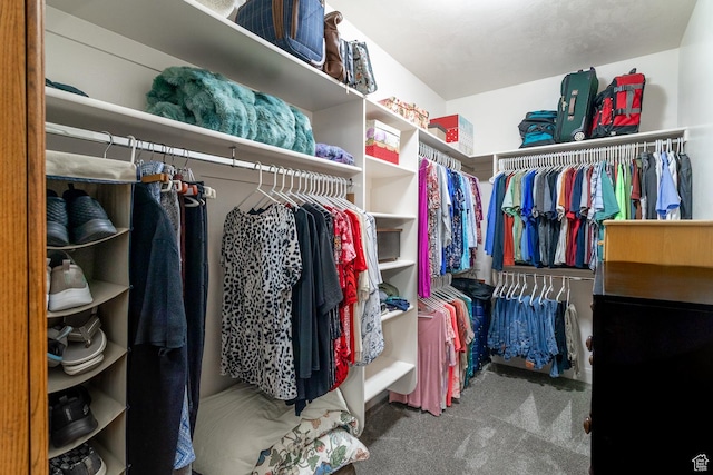 1430 W 365 N, Hurricane, UT 84737 - spacious closet featuring carpet