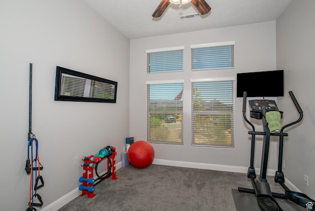 1430 W 365 N, Hurricane, UT 84737 - workout room featuring a ceiling fan and carpet flooring
