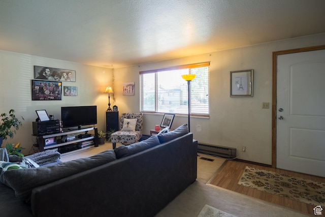 454 W 650 N, Vernal, UT 84078 - living room with a baseboard radiator and wood finished floors