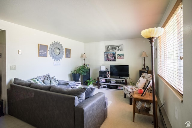 454 W 650 N, Vernal, UT 84078 - view of carpeted living area