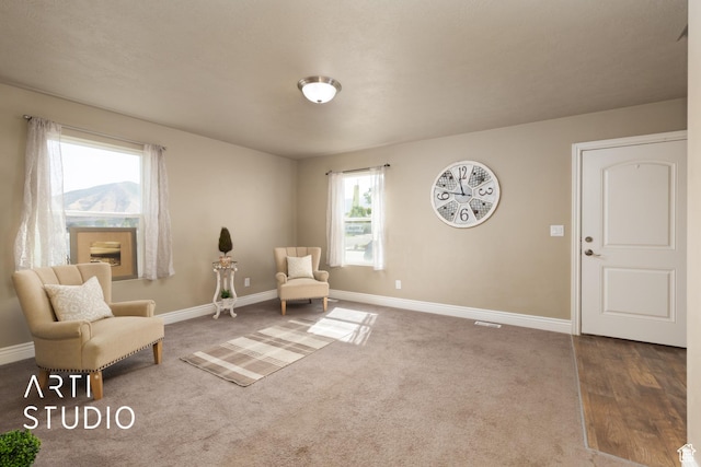 1789 N Aaron Dr E, Tooele, UT 84074 - living area with carpet floors