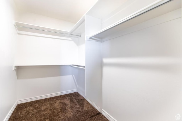 1033 S Southgate Ct W, Logan, UT 84321 - walk in closet with carpet floors