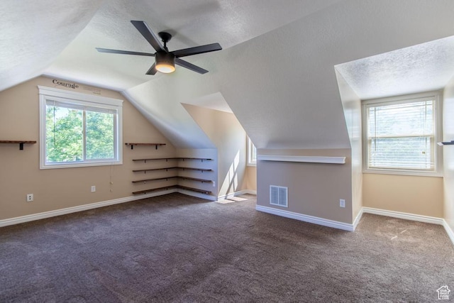 1033 S Southgate Ct W, Logan, UT 84321 - additional living space featuring a textured ceiling, carpet floors, vaulted ceiling, and a ceiling fan