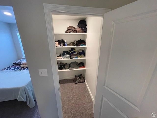 2433 N 1445 W, Clinton, UT 84015 - view of closet