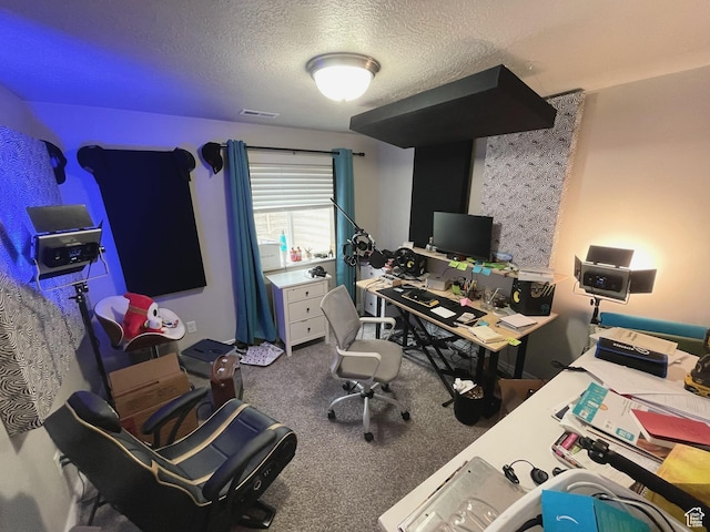 2433 N 1445 W, Clinton, UT 84015 - carpeted home office featuring a textured ceiling