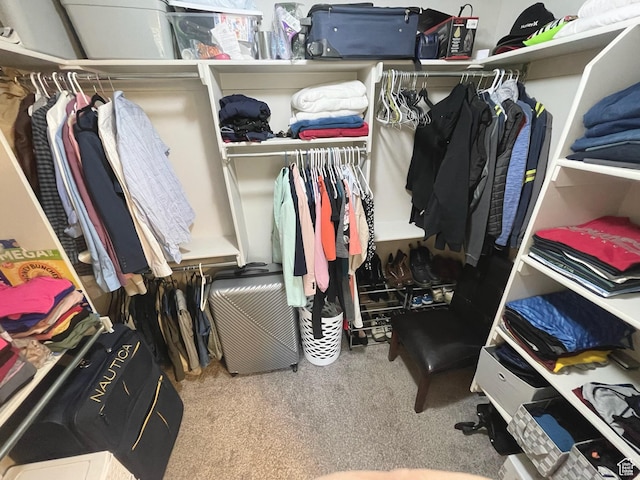2433 N 1445 W, Clinton, UT 84015 - walk in closet with carpet floors