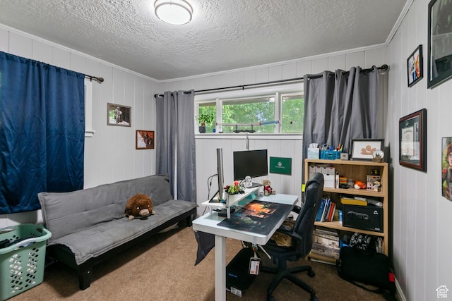 565 W 300 S, Provo, UT 84601 - carpeted office with crown molding and a textured ceiling