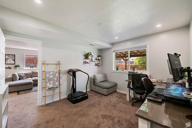 477 W 2600 N, Lehi, UT 84043 - office with carpet flooring and recessed lighting