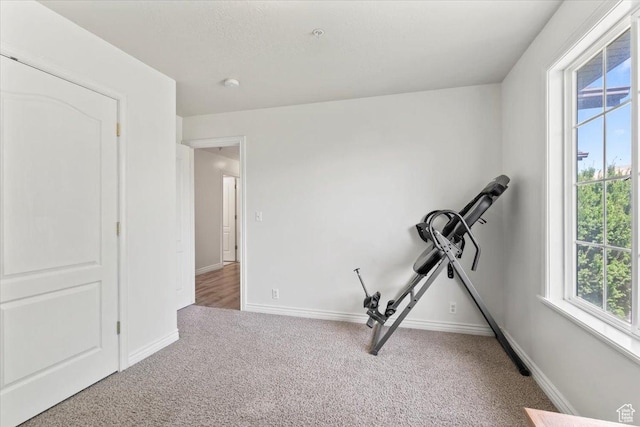 7217 W Mccuiston Ave S, Herriman, UT 84096 - workout area with carpet floors and plenty of natural light