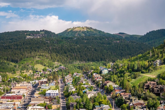 1035 Park Ave Unit 7-G, Park City, UT 84060 - aerial view of property's location featuring a forest and a mountainous background