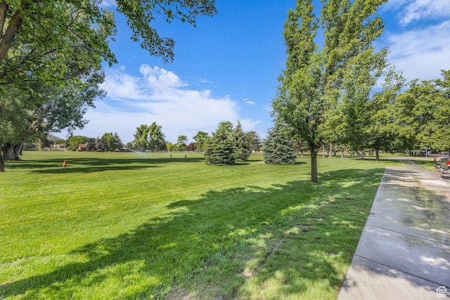 1731 E 1460 N, Logan, UT 84341 - view of green lawn