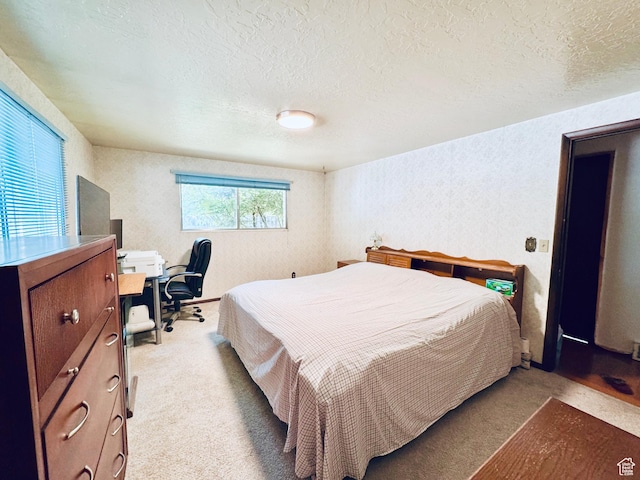 1731 E 1460 N, Logan, UT 84341 - bedroom with light carpet, a textured ceiling, and a desk