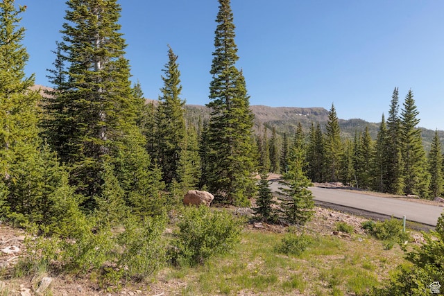 318 N Highland Dr, Brian Head, UT 84719