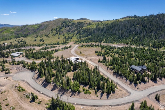318 N Highland Dr, Brian Head, UT 84719