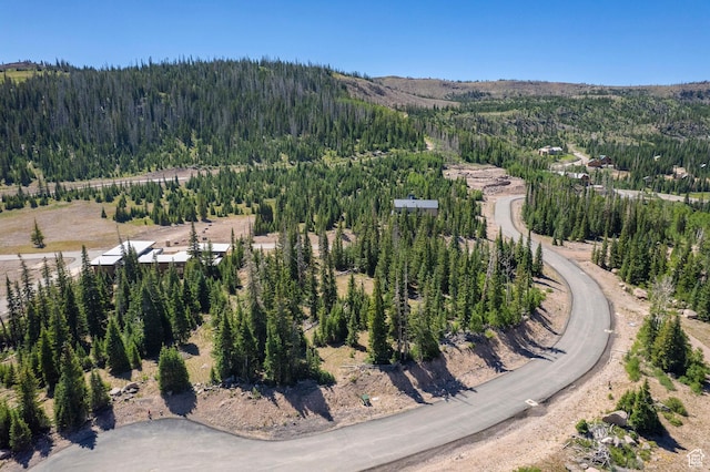 318 N Highland Dr, Brian Head, UT 84719