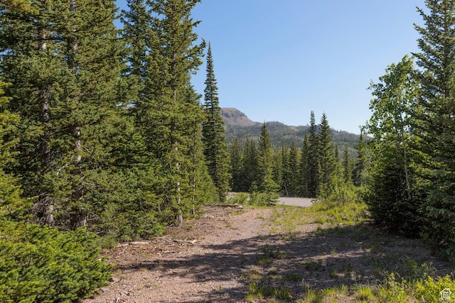 318 N Highland Dr, Brian Head, UT 84719