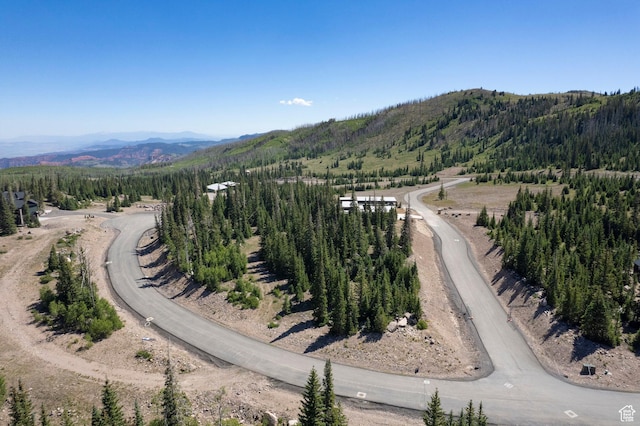 318 N Highland Dr, Brian Head, UT 84719