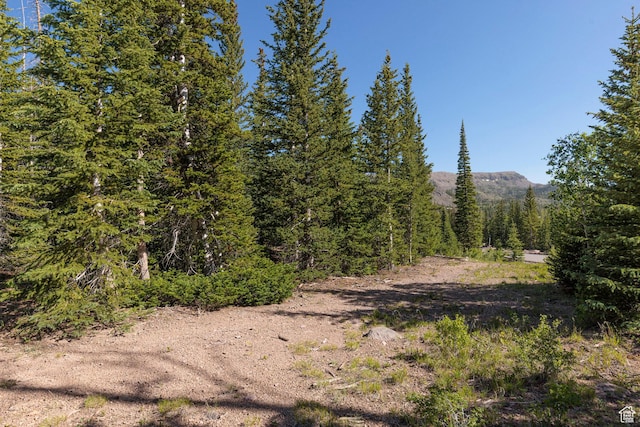 318 N Highland Dr, Brian Head, UT 84719