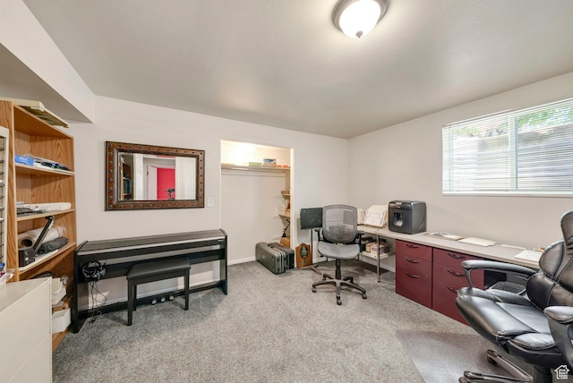 1700 N Bluebird Rd, Orem, UT 84097 - office with light carpet