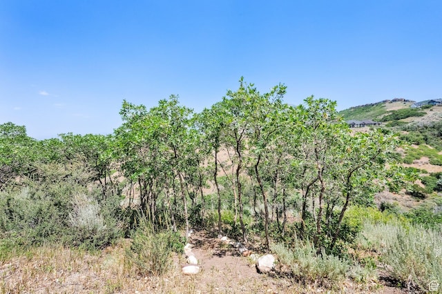 923 E Absaroka Ct S, Draper, UT 84020 - view of undeveloped land