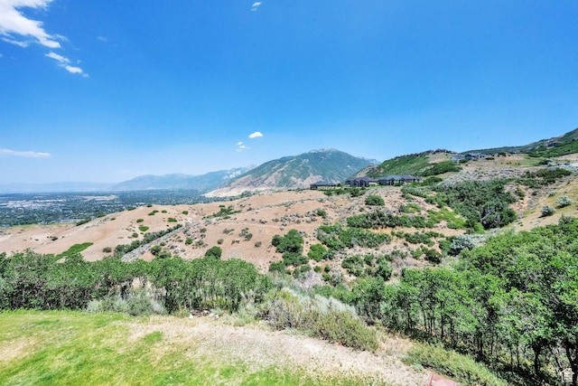 923 E Absaroka Ct S, Draper, UT 84020 - view of mountain backdrop