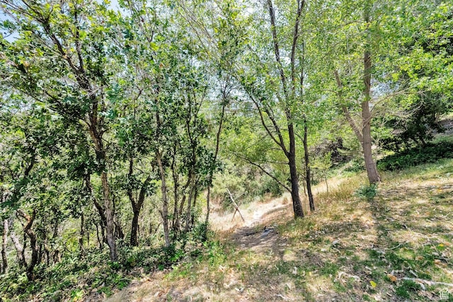 923 E Absaroka Ct S, Draper, UT 84020 - view of tree filled area