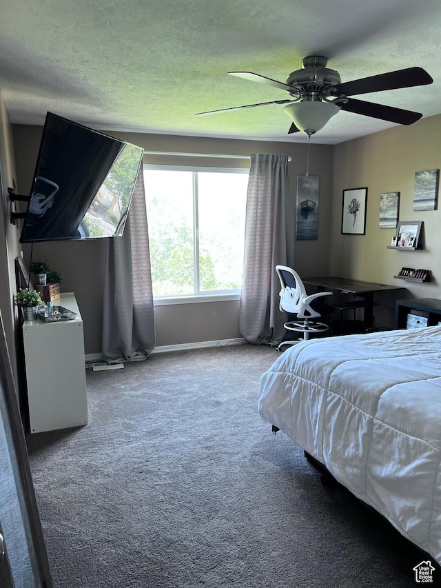6466 W 8375 S, West Jordan, UT 84081 - carpeted bedroom featuring ceiling fan and a textured ceiling