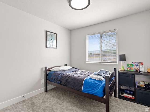 214 S 900 W, Tooele, UT 84074 - carpeted bedroom with baseboards