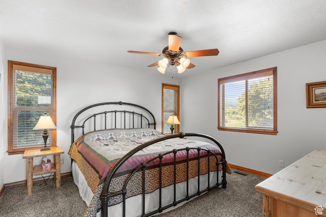 1340 N Trapper Loop, Garden City, UT 84028 - bedroom featuring carpet flooring, multiple windows, and ceiling fan