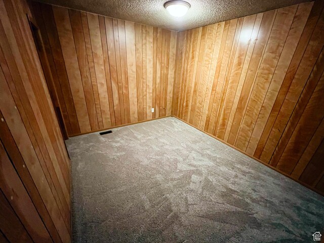 399 W 400 N Unit 47, Bountiful, UT 84010 - carpeted empty room with a textured ceiling and wood walls