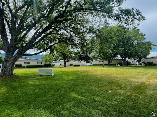 399 W 400 N Unit 47, Bountiful, UT 84010 - view of green lawn