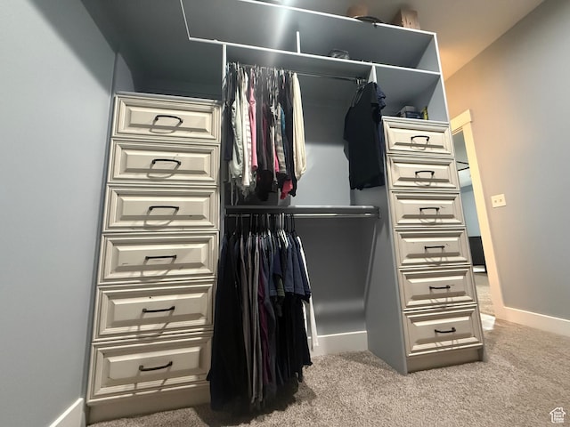 4311 N Diamond Ln, Erda, UT 84074 - view of closet