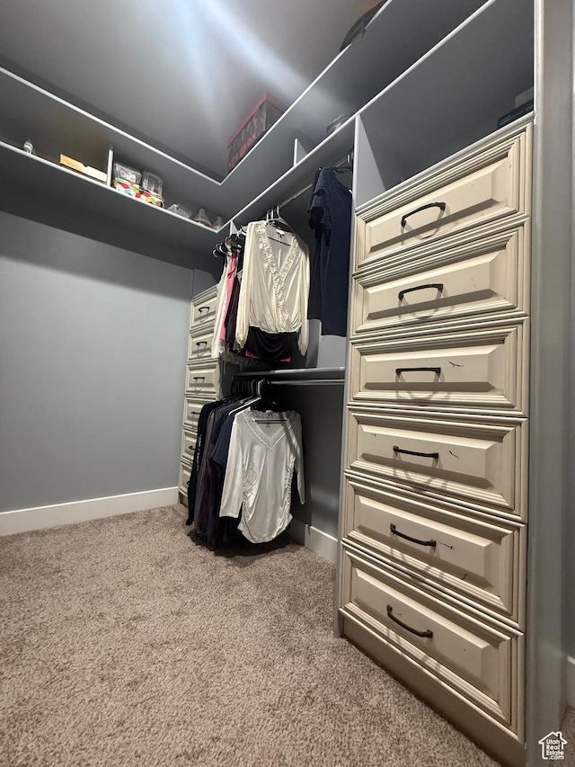 4311 N Diamond Ln, Erda, UT 84074 - spacious closet featuring carpet flooring
